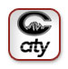 City Skateboards